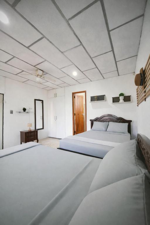Suite Milina Jardín Privado cerca del Mar - 4