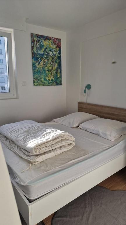 Bel appartement Vannes Centre - 5