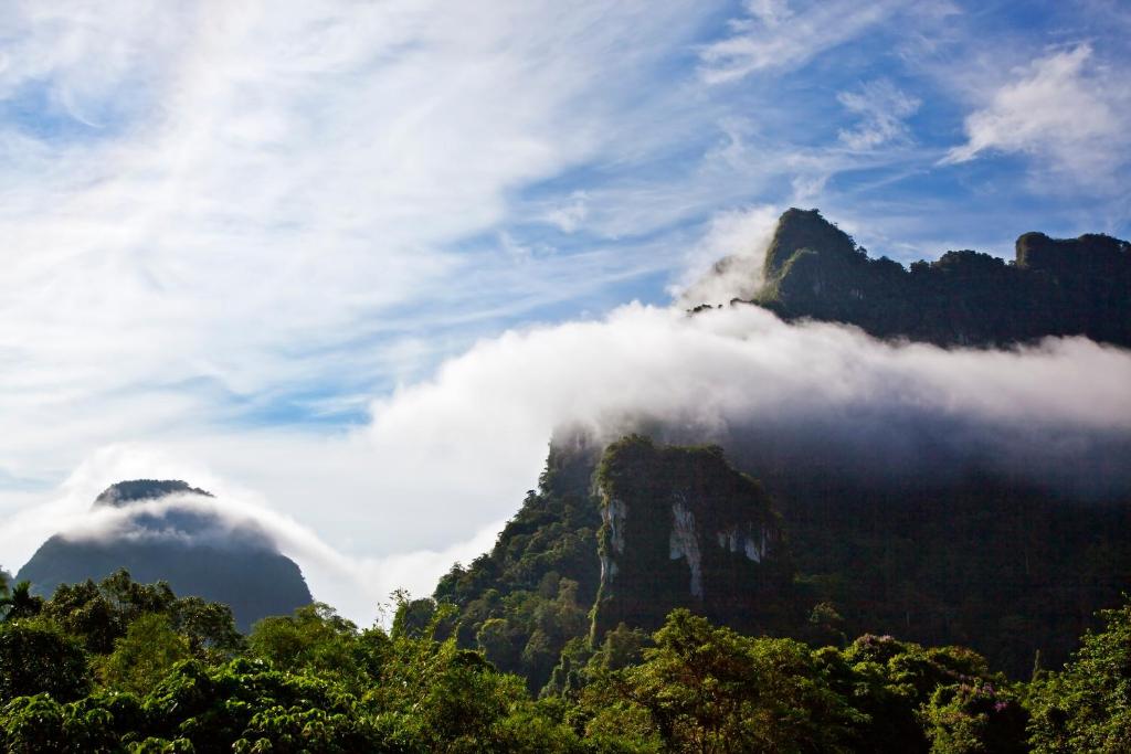 Surrounding environment