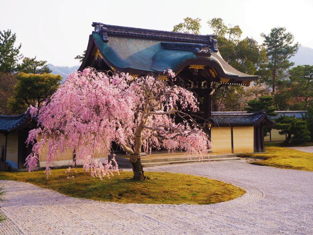 Nearby attraction