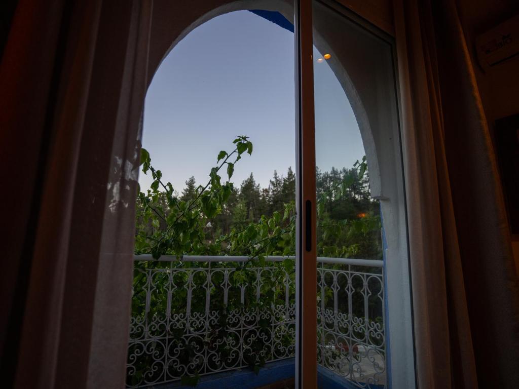 バルコニー/テラス