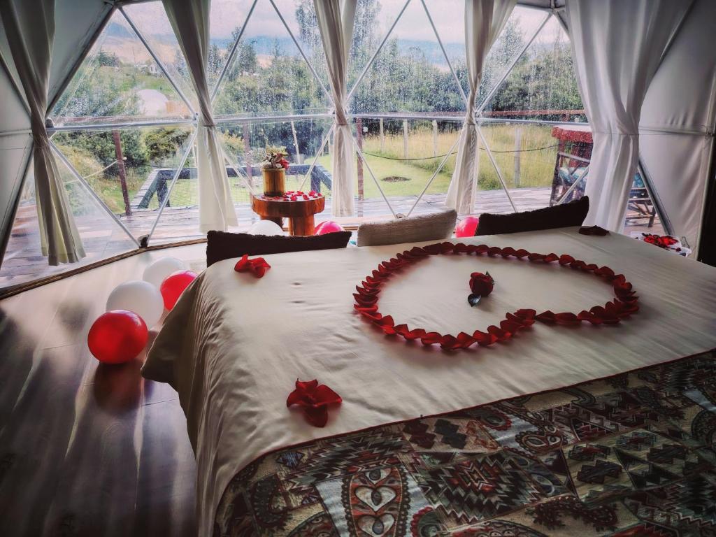 Glamping Claro de Luna - 5