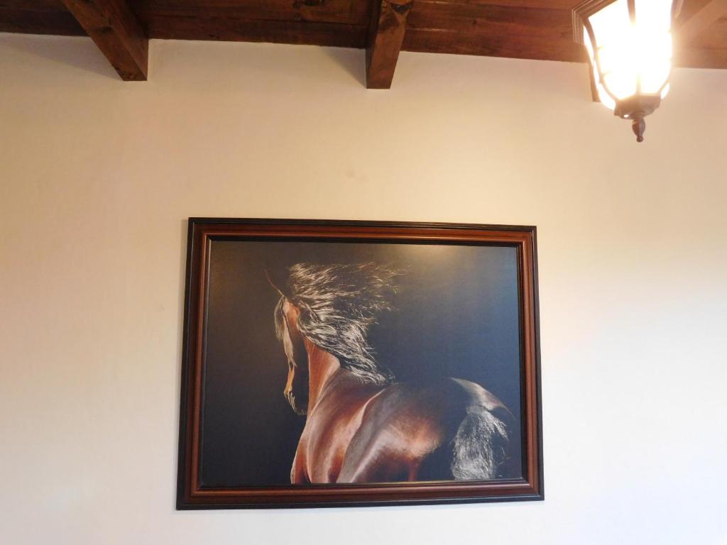 Hotel Boutique Rancho San Jorge photo