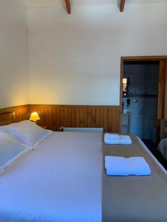 HOTEL & HOSTAL CHIL'IN, Las Trancas - 3