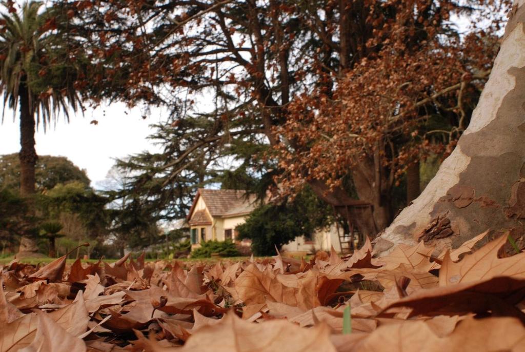 House in Estancia - Perfect for groups - 5