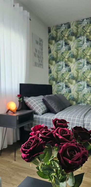 Luna Apartmani - 3