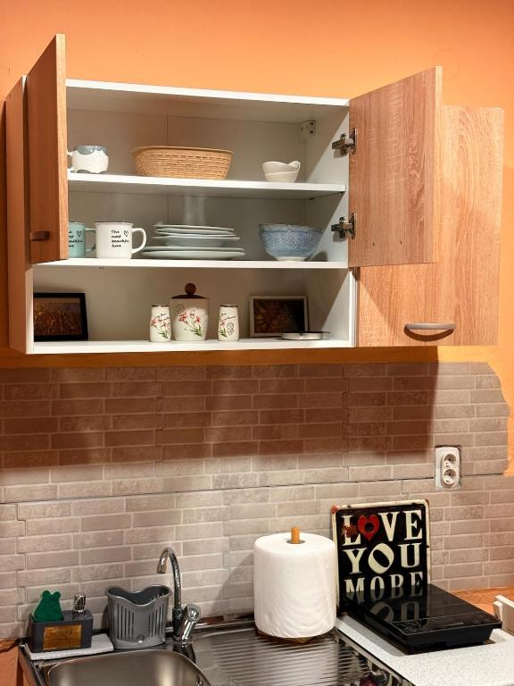 Cozy Studio Apartment Pale - 3