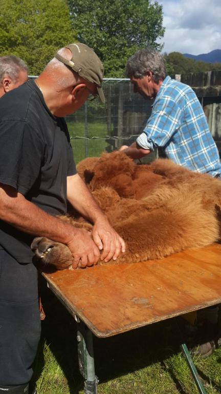 アクティビティ