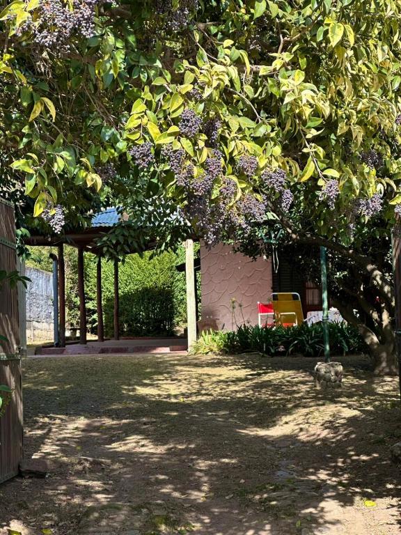 Villa il Fanale - 1