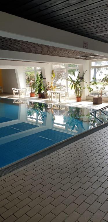 Urlaub im Bayerischen Wald mit Schwimmpool - 2