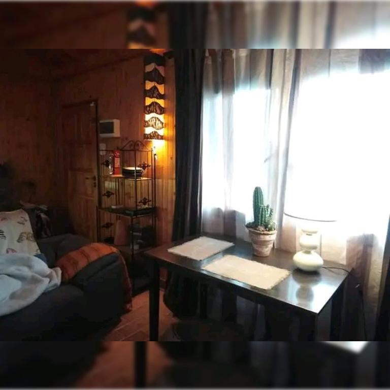 Casa Pehuenia - 5