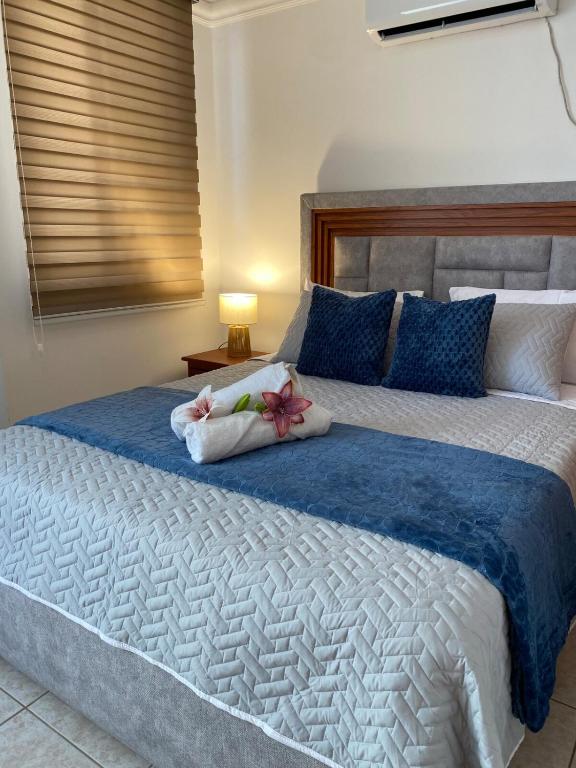 Nueva Suite, con Piscina a pasos del Mar - 4
