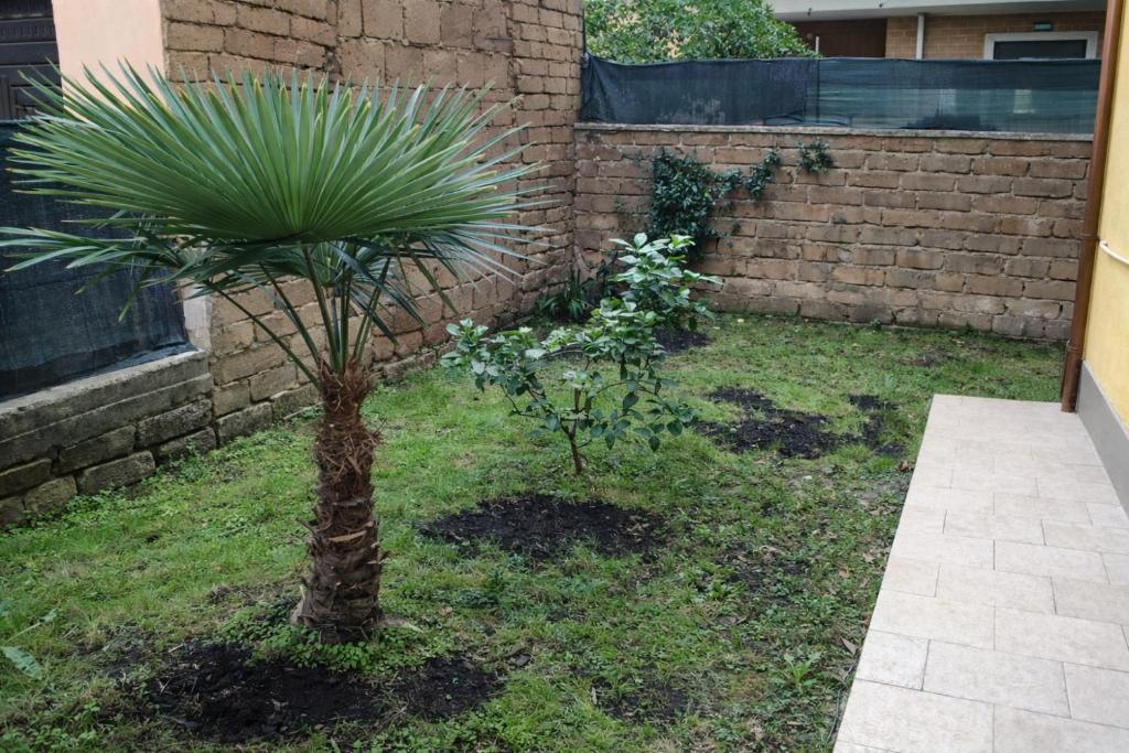 Golden Stay Rome - Golden Room with Private Kitchen and Garden - Close to Metro C - 4