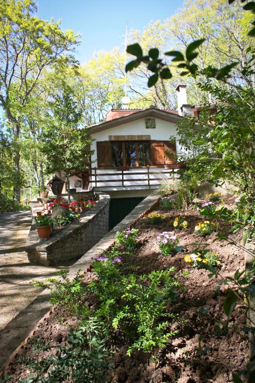 Lagrifoglio Villa Francesca Bb In Allumiere Italy Wander - 