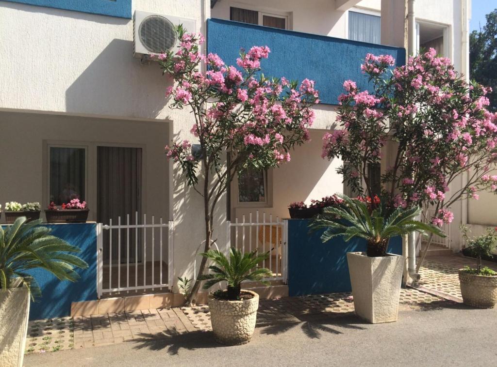 Apartments Aleksić, Bečići - 1