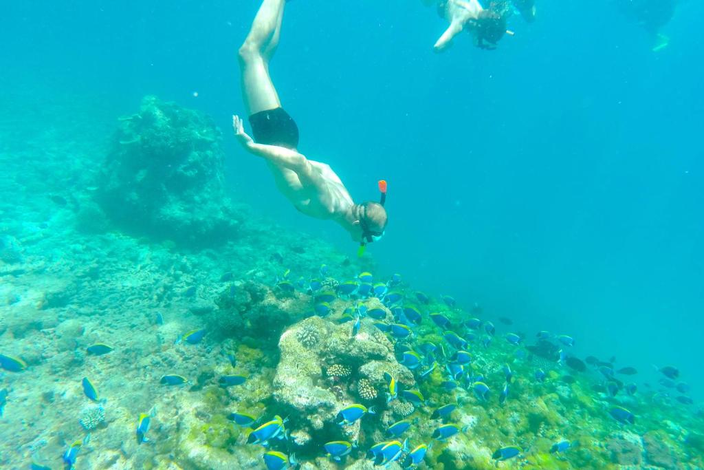 スポーツ/アクティビティ