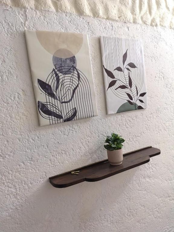 Apartamento independiente en Dolores - 5