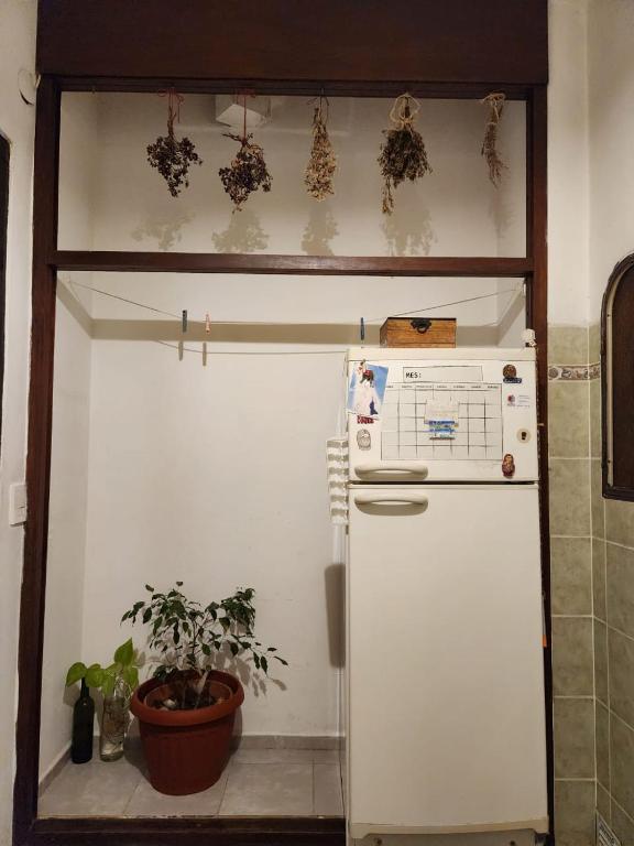 Dpto centrico sobre Av Eden - 4