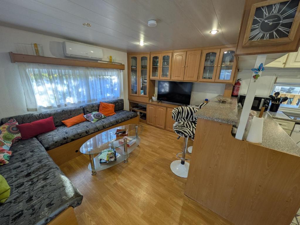 Mobil-Home La Pointe 5 pers camping 4 étoiles - 1