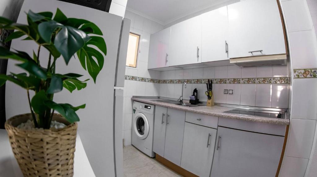Torreviejar with garage and pool - 4