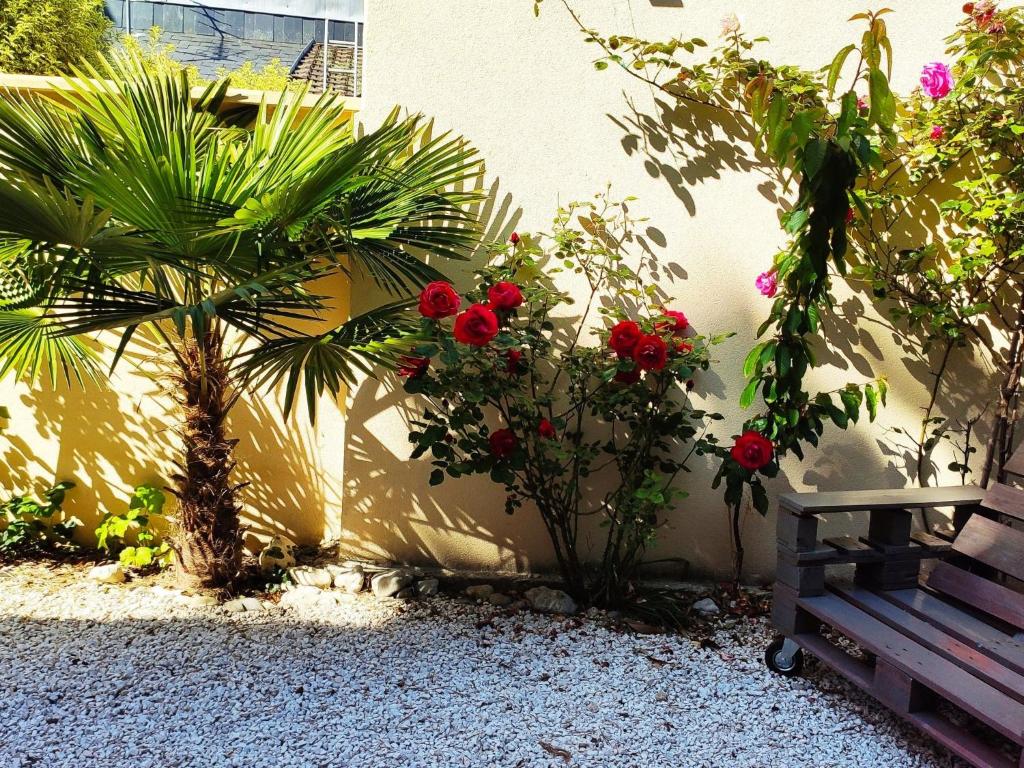 Apartment Wohnung Les Muguets mit Garten und Grillplatz by Interhome - 5