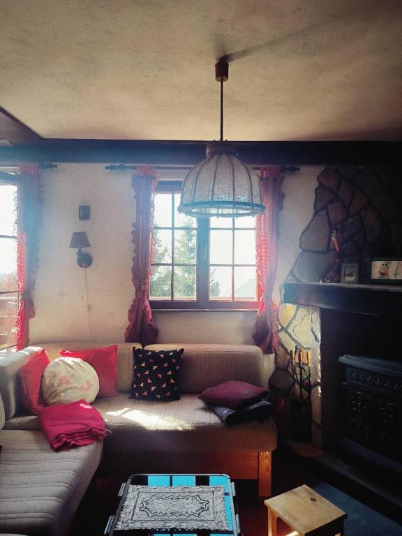 Mountain home Borut - 2