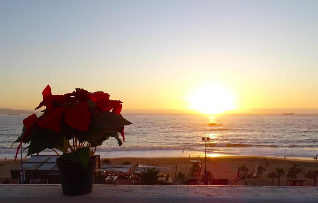 Reñaca - Primera linea de playa con gran terraza - 2