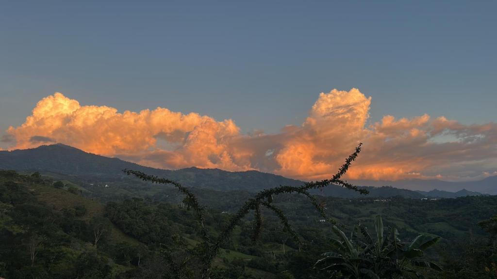 Entre Nubes - 5