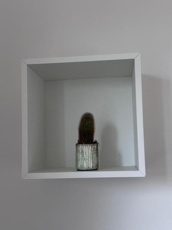 La casa di Chica - 2