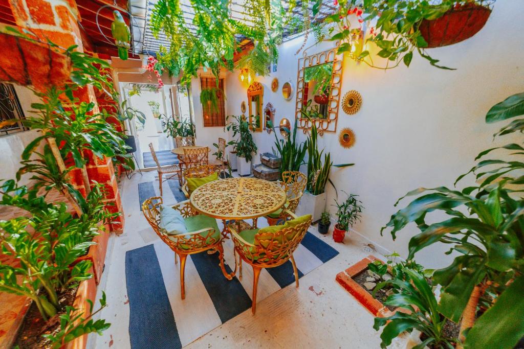 Selva María Hotel Boutique - 4