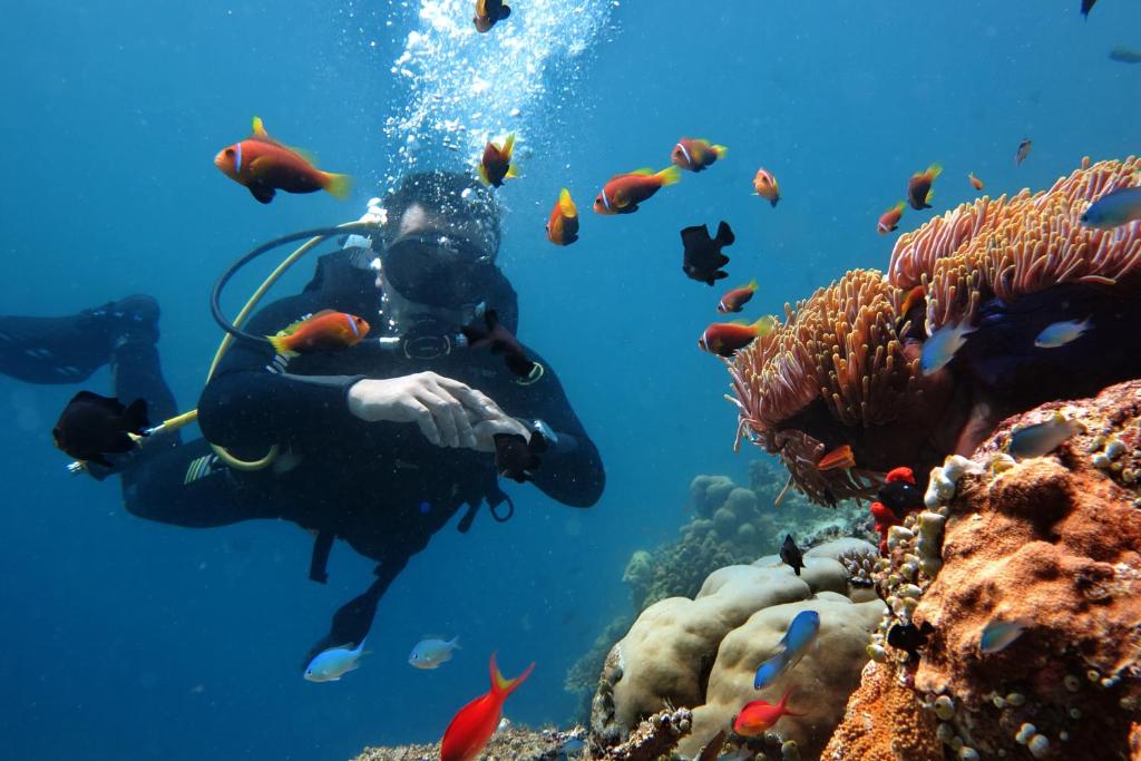 スポーツ/アクティビティ