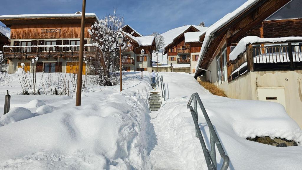 Hameau Des Aiguilles vue sur pistes - 4