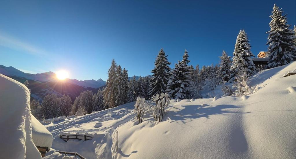 Chalet Ski in&out - 3