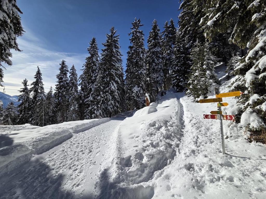 Chalet Ski in&out - 5