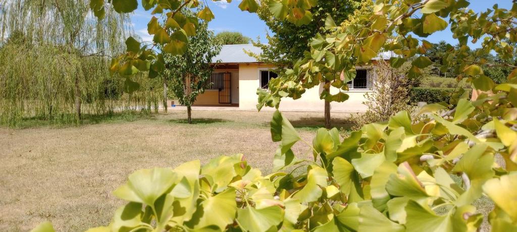 Tandil Quinta Los Zorzales Hasta 5 personas - 4