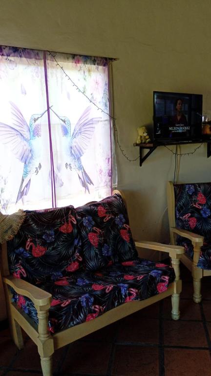 Casa Los colibrí - 5