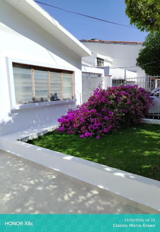 Casa Aline - 1