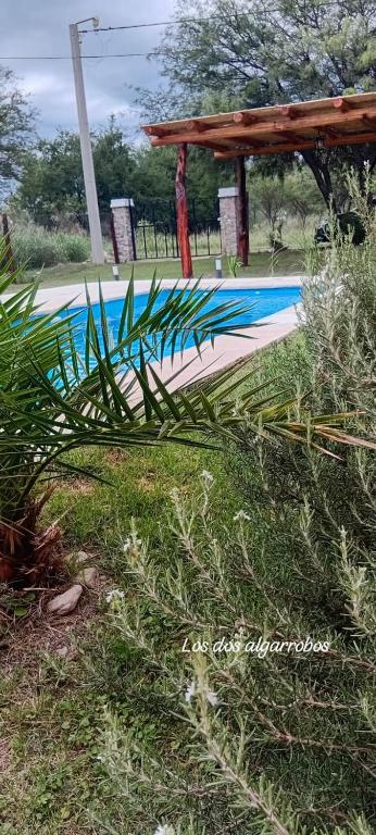 Los dos Algarrobos - 3
