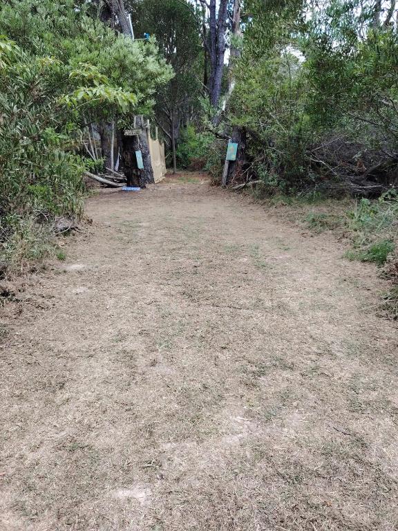 Mi pequeño Santuario - 3