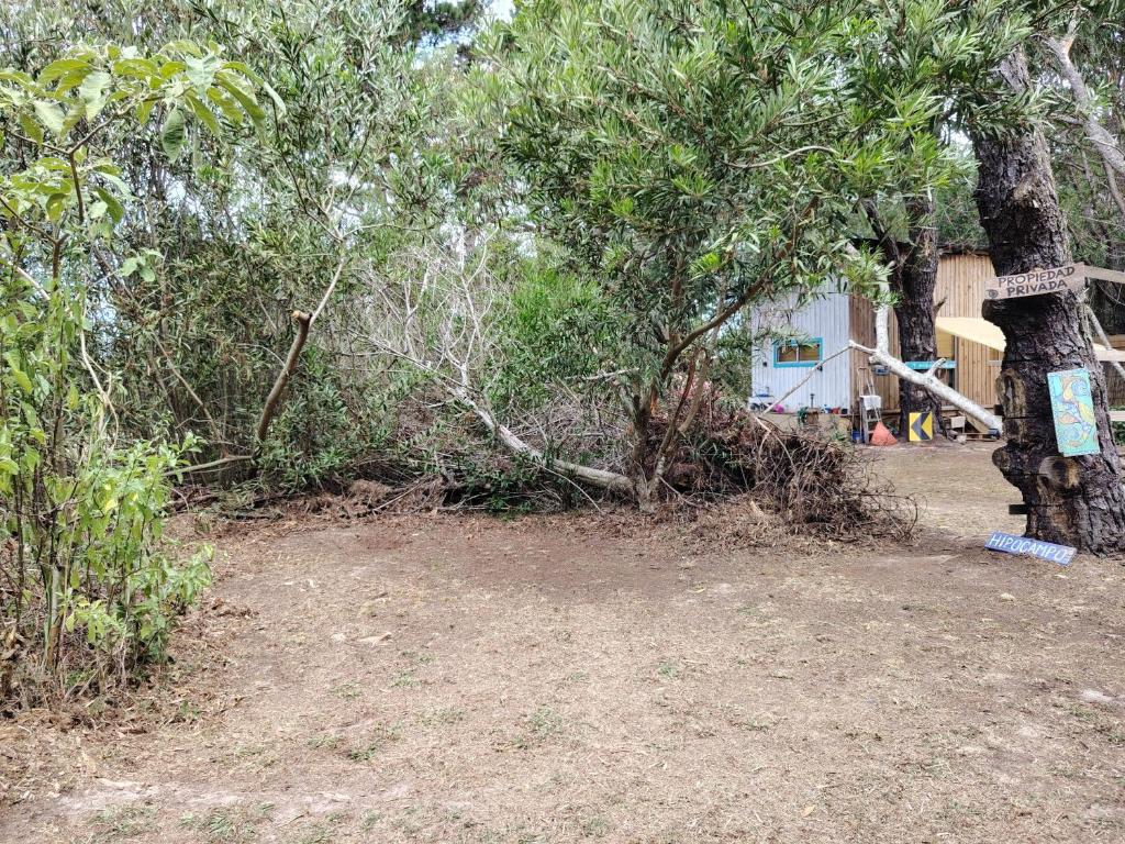 Mi pequeño Santuario - 2