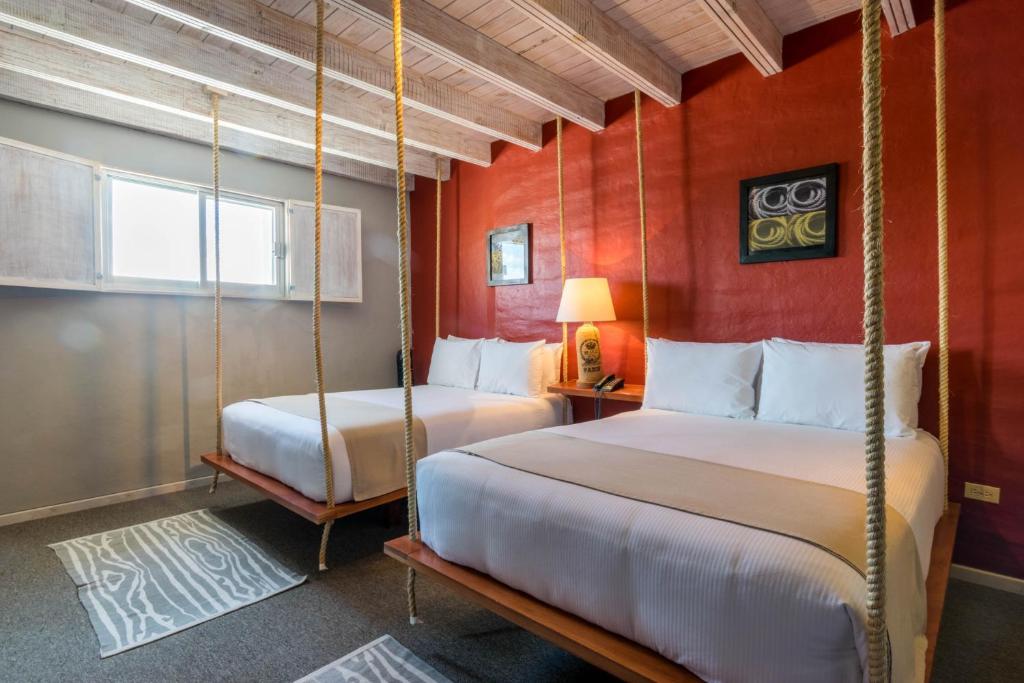 Hotel Damiana Boutique - 2