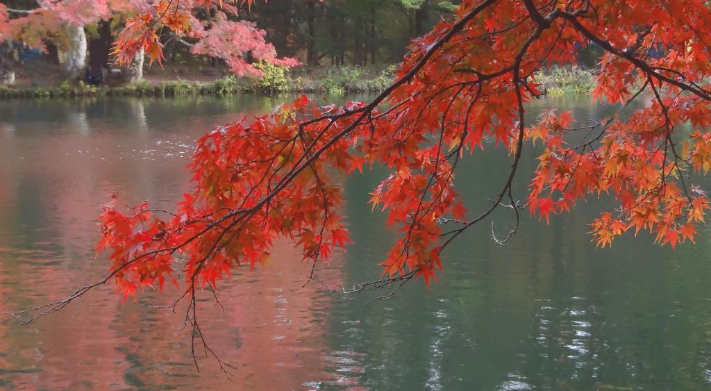 Surrounding environment