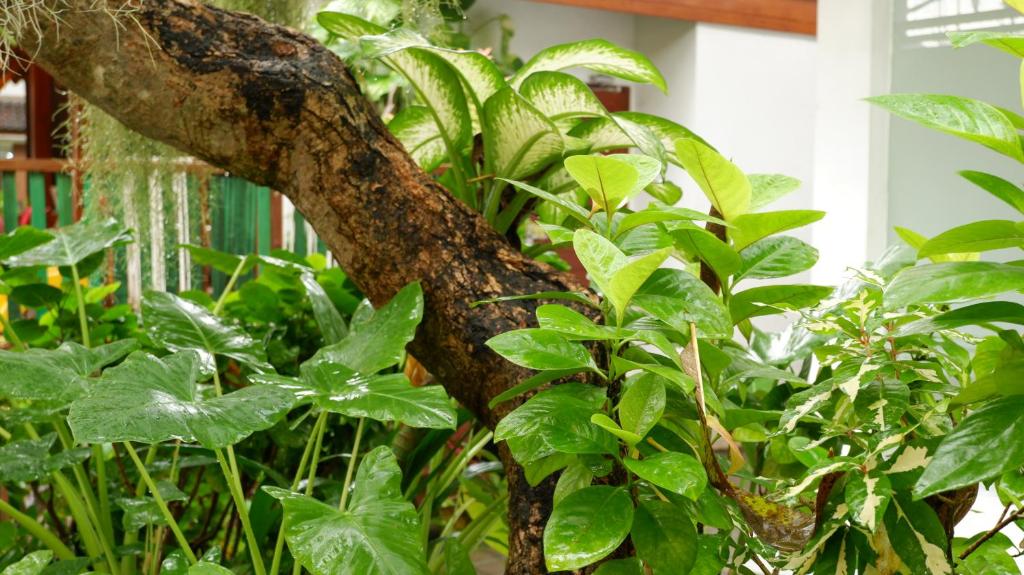 Surrounding environment