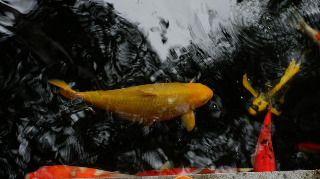 Surrounding environment