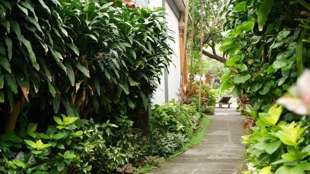 Surrounding environment