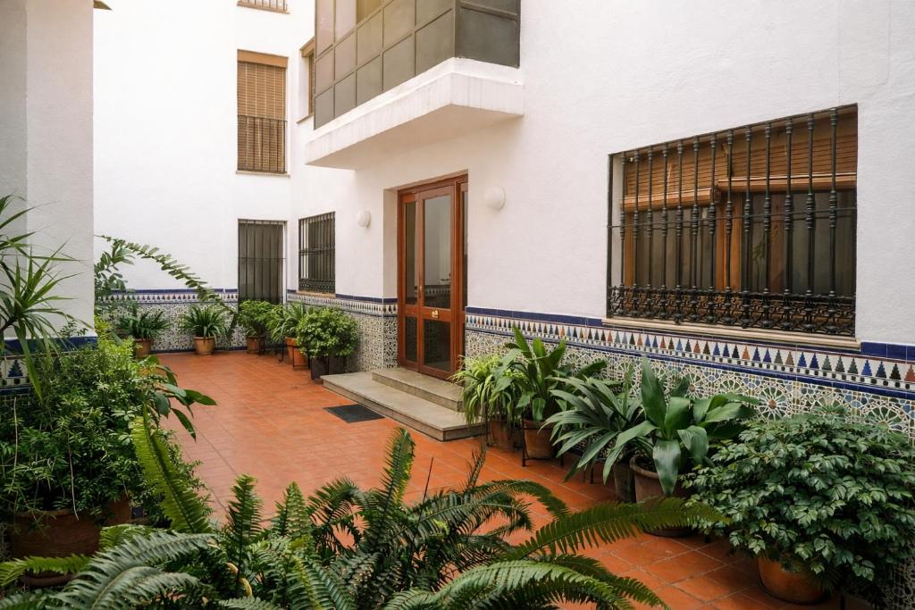 CENTRICO Y ACOGEDOR APARTAMENTO CORDOBA - 2