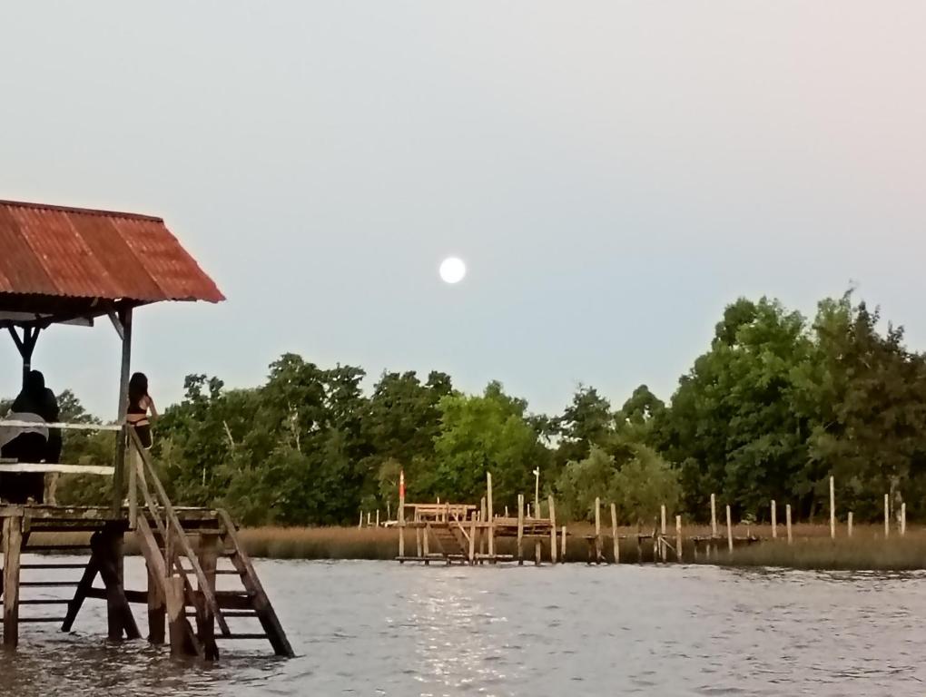 Isla La Paz - 5