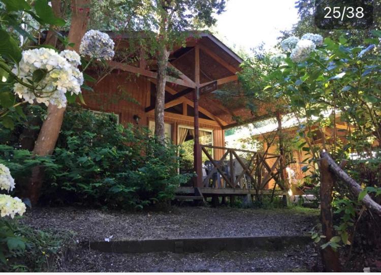 Cabañas el Bosque Patagónico - 3