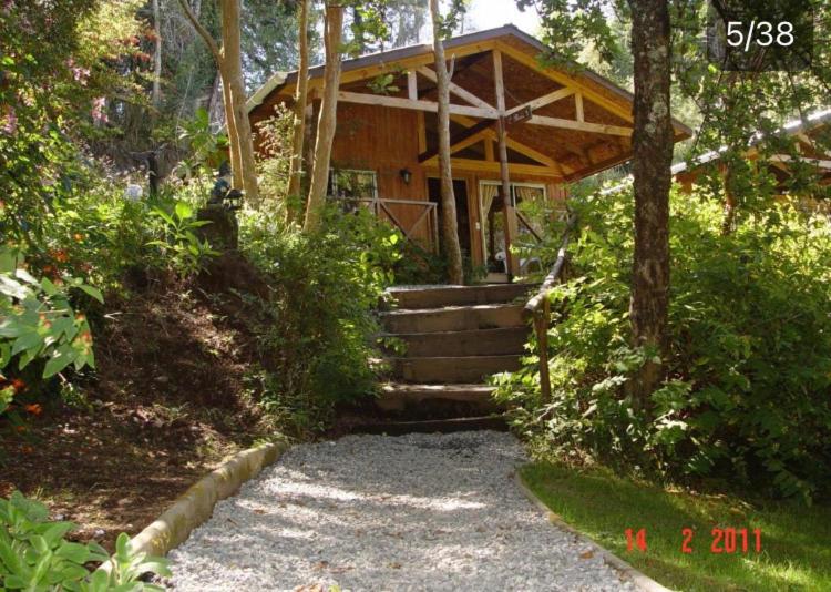 Cabañas el Bosque Patagónico - 4