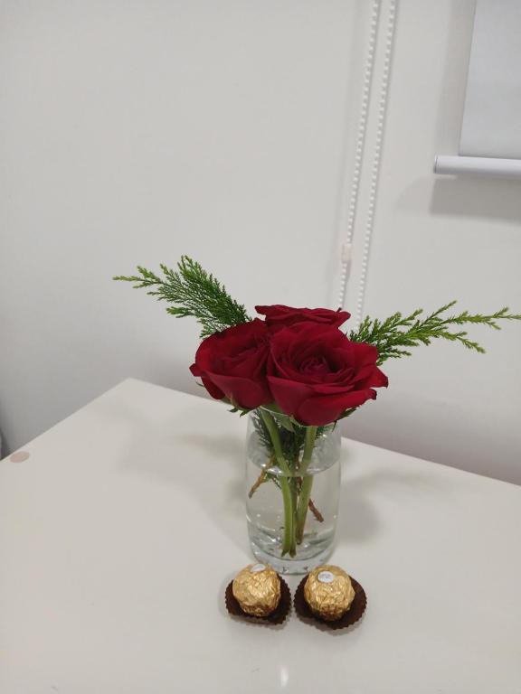 Sunset Apart Iguazú - 2